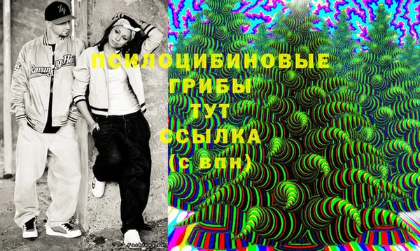 a pvp Абаза