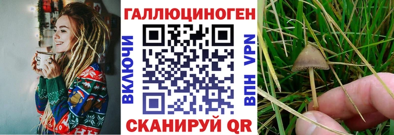 Псилоцибиновые грибы GOLDEN TEACHER  наркота  Усть-Катав 